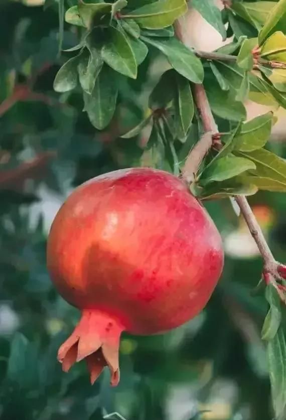 又是一年中秋节,你的中秋节记忆是什么歌曲图17