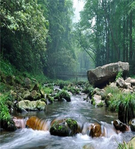 天津去张家界自助游,去张家界旅游自助图2