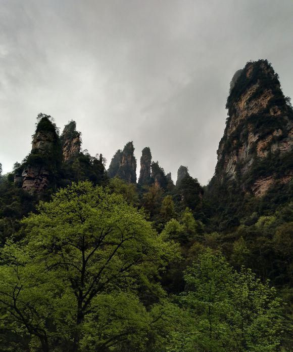 天津去张家界自助游,去张家界旅游自助图6