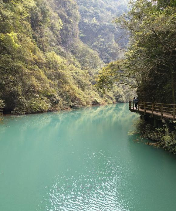 天津去张家界自助游,去张家界旅游自助图12