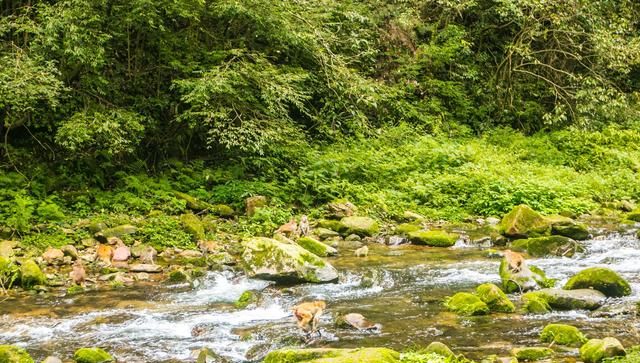 天津去张家界自助游,去张家界旅游自助图22