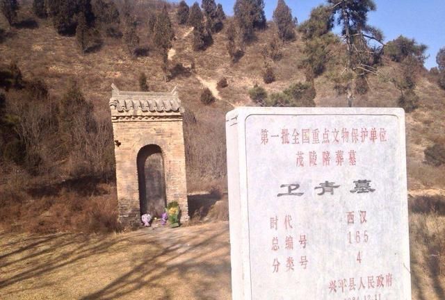 历史上卫伉存在吗,卫伉两次失去爵位真相图4