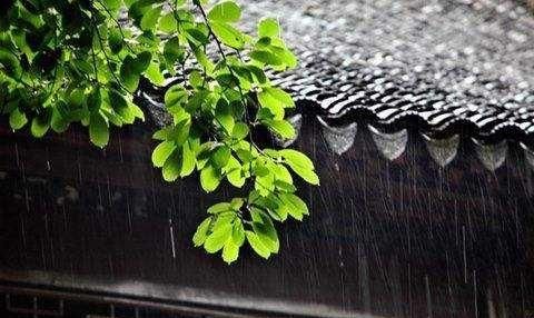 梅雨季怎么除潮图2