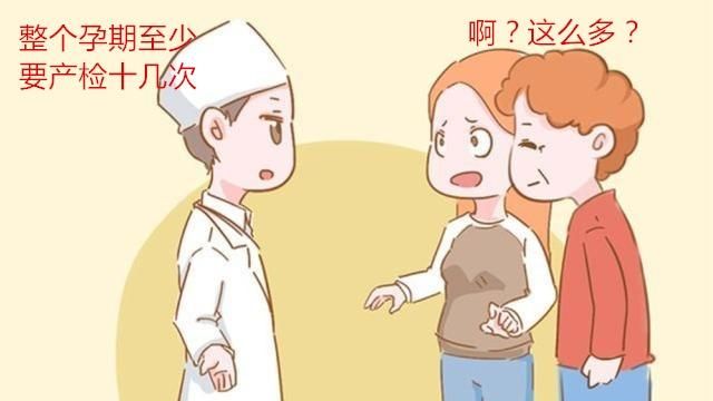 怀孕后什么时间检查什么项目图7