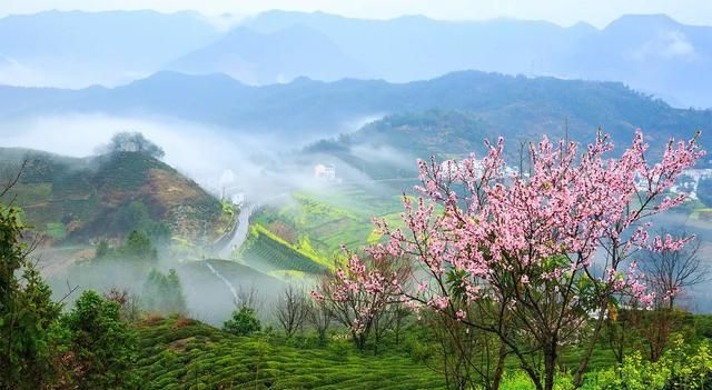 清明节是每年的阳历4月5日对吗图3