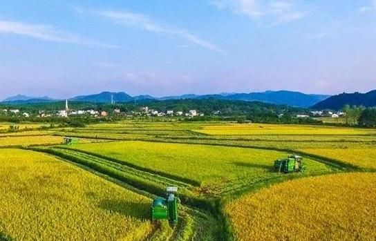 秋分节气到，农村俗语“春祭日，秋祭月”是啥意思秋分有哪些习俗图2