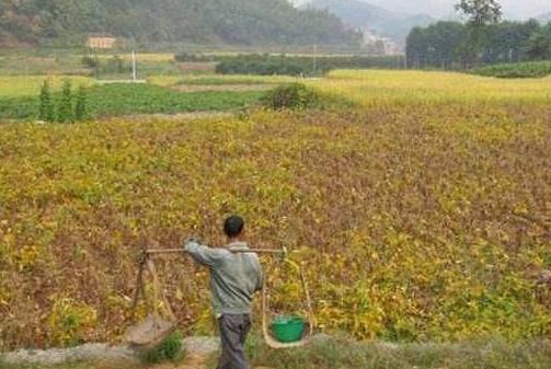 秋分节气到，农村俗语“春祭日，秋祭月”是啥意思秋分有哪些习俗图3