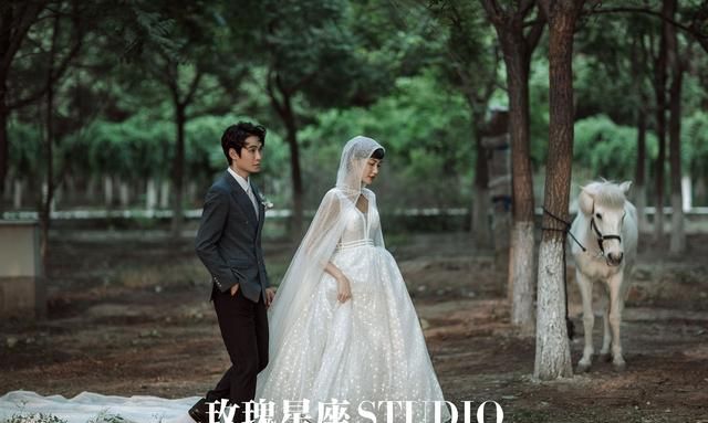 为什么结婚要拍婚纱照(为什么结婚的人都拍婚纱照)图4