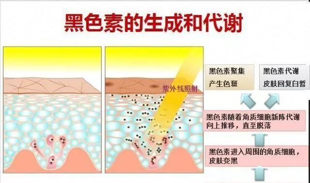 如何正确使用隔离霜跟防晒霜图2