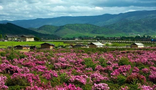 大香格里拉在哪里(大香格里拉在哪)图2