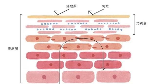 如何制作蜂蜜蛋清面膜,蜂蜜蛋清制作面膜做法图2