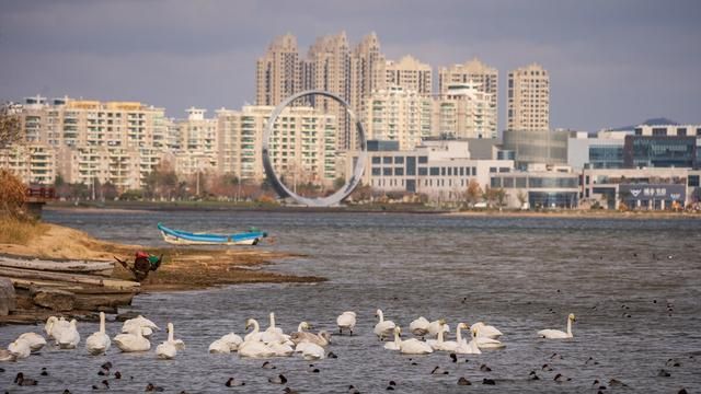 山东荣成怎么样,山东荣成经济怎么样图3