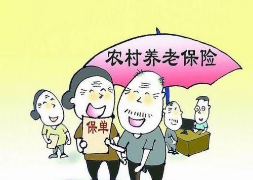 新农保怎么交费网上缴费(新农保怎么开户)图4