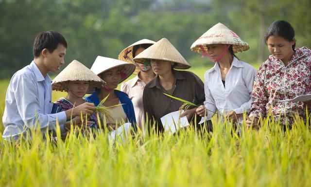 失地农民应该怎么办(失地农民怎么办退休)图1