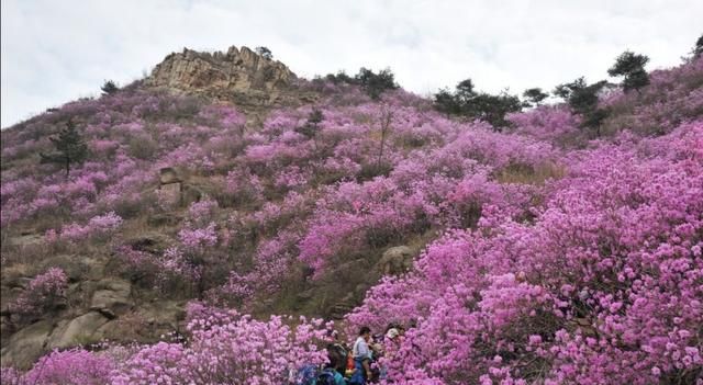 什么地方旅游好，现在去哪个地方旅游最合适图5