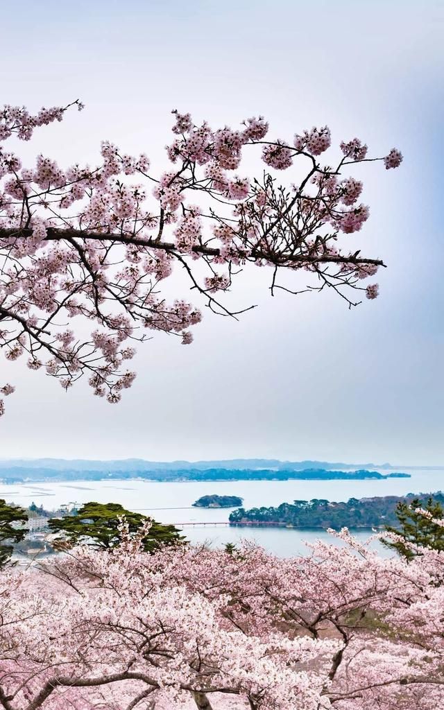 有哪些适合发朋友圈的新年祝福好句可以分享给朋友图8