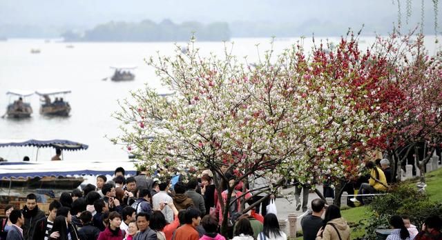 清明节是每年的阳历4月5日对不对图4