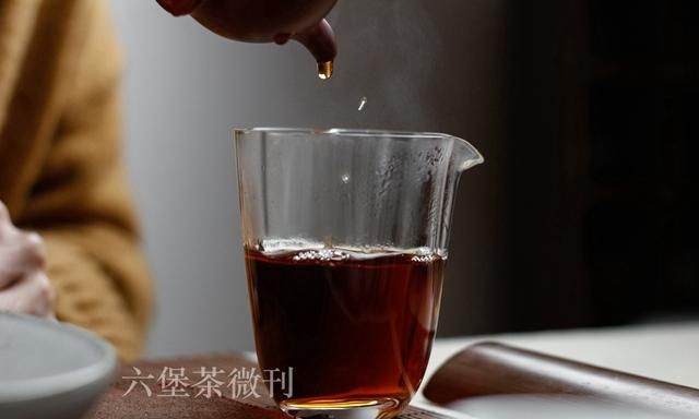 一泡茶是什么意思图5