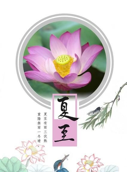 夏至将至，老话“夏至入头九”，头九是入伏吗今年啥时候入伏图1