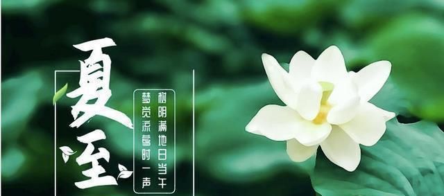 夏至将至，老话“夏至入头九”，头九是入伏吗今年啥时候入伏图4