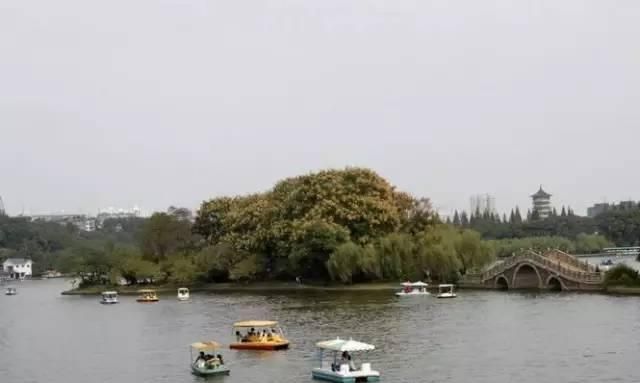 长沙旅游攻略景点必去，长沙有哪些旅游景点好玩的地方图3