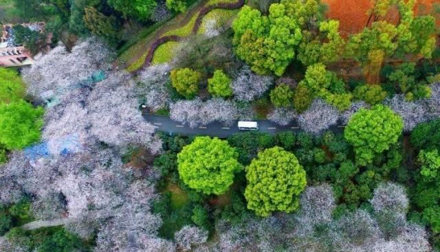 长沙旅游攻略景点必去，长沙有哪些旅游景点好玩的地方图15