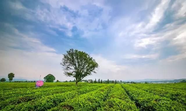 长沙旅游攻略景点必去，长沙有哪些旅游景点好玩的地方图84