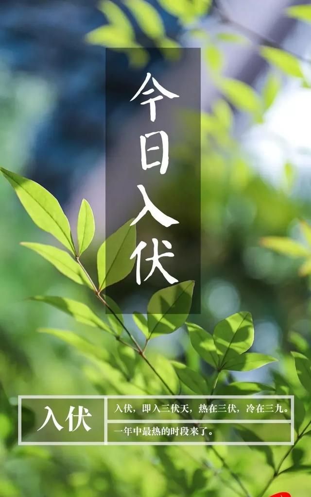 今天夏至是什么时候进伏图3