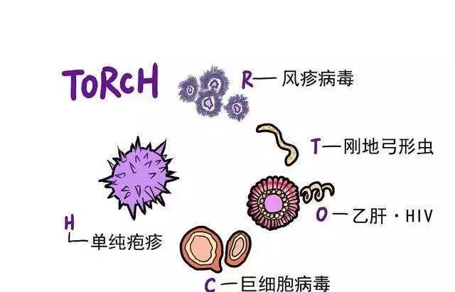 性激素六项检查正常,是否就说明女孩子可备孕了图6