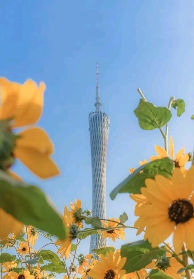 广东梅雨季节如何防潮图1