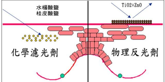 为什么脸上都是油油的图1