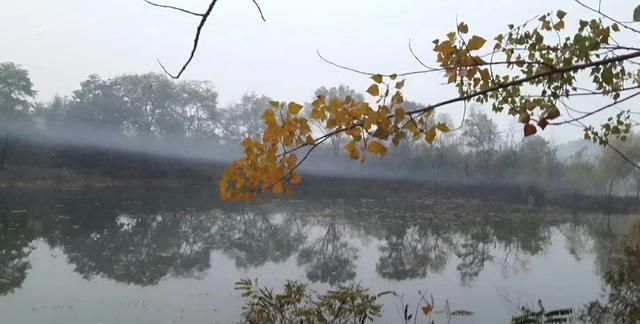 又是一年秋近，你还记得去年的秋吗手机里还保存着美图吗分享出来我们一起怀念吧图4