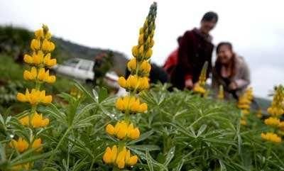 母亲节手工礼物简单又好看，母亲节快到啦,送什么礼物给妈妈好呢图3