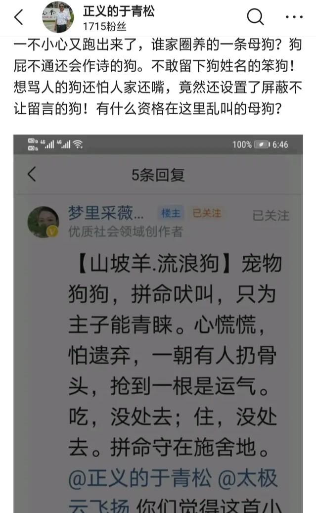 什么叫玻璃心的女孩图1