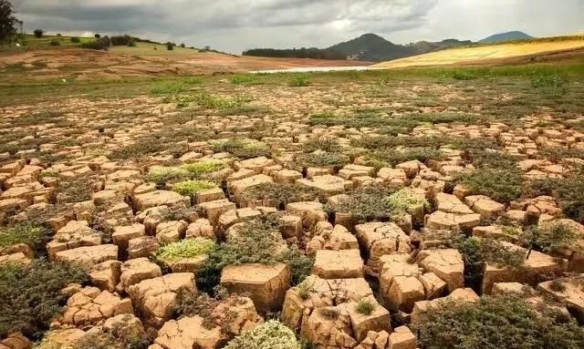 夏至将到，俗语“夏至无雨，寡妇把身许”啥意思夏至雨有多重要图10