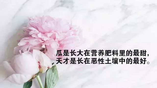 现实生活又很扎心的句子，有哪些现实又扎心的句子图1