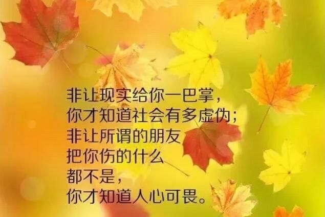 现实生活又很扎心的句子，有哪些现实又扎心的句子图4