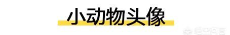 2021微信头像，有哪些适合男生的微信头像图12