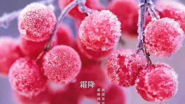 农谚“先冬后霜，来年大荒”，是什么意思今年霜降交节是在哪天图2