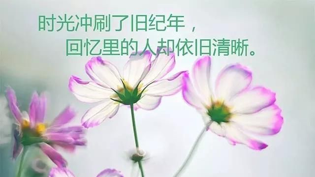 你听过最暖的一句话是什么,你听过的最绝情的话是什么图8