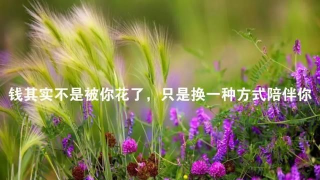 你听过最暖的一句话是什么,你听过的最绝情的话是什么图10